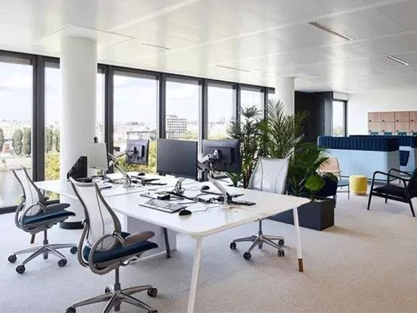 溫馨(xin)的(de)空(kong)間怎麼能少的了時(shí)(shi)尚辦(ban)公槕椅(yi)