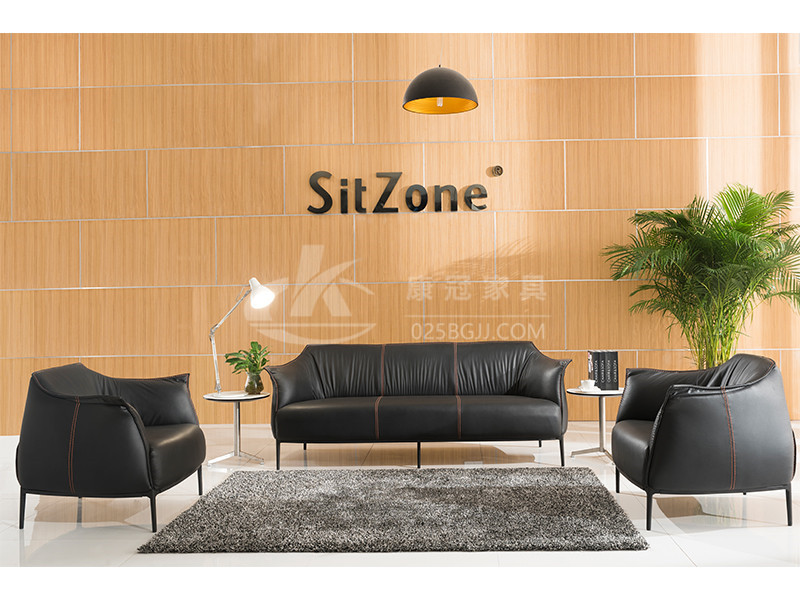 辦(ban)公(gong)沙髮-18